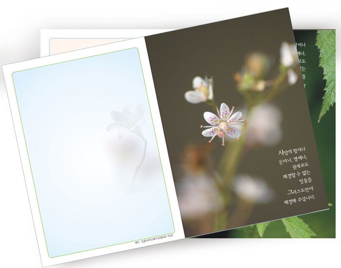꽃사진 전도지